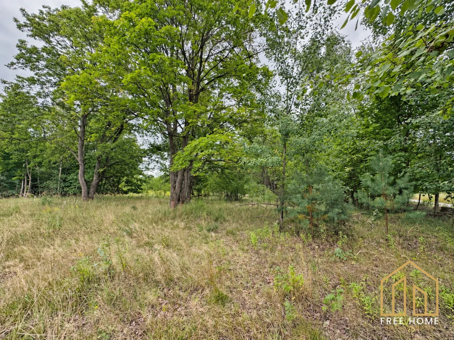 Działka budowlana przy lesie, Głogówko, 1000 m² — miniatura 7
